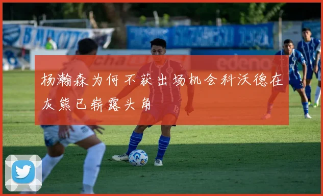 杨瀚森为何不获出场机会科沃德在灰熊已崭露头角