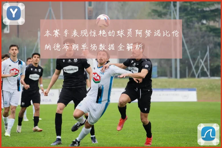 本赛季表现惊艳的球员阿努诺比伦纳德布朗单场数据全解析
