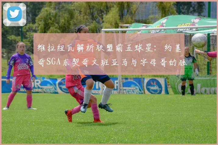 维拉纽瓦解析联盟前五球星：约基奇SGA东契奇文班亚马与字母哥的独特魅力