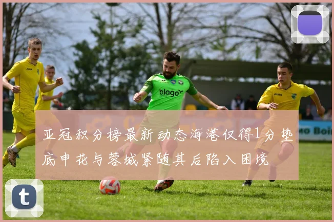 亚冠积分榜最新动态海港仅得1分垫底申花与蓉城紧随其后陷入困境