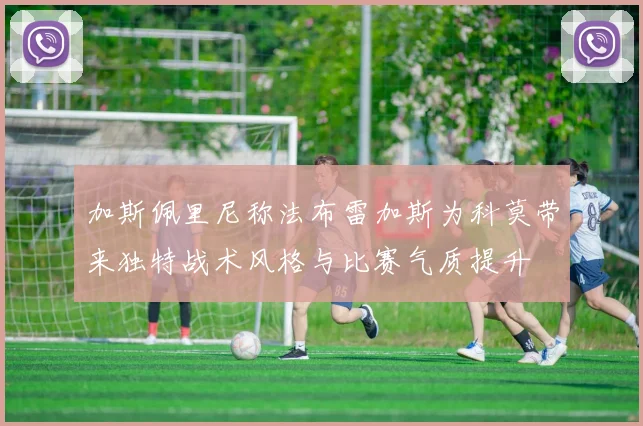 加斯佩里尼称法布雷加斯为科莫带来独特战术风格与比赛气质提升