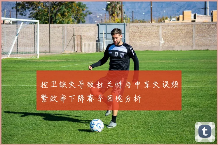 控卫缺失导致杜兰特与申京失误频繁效率下降赛季困境分析